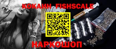 эйфоретик Кимры