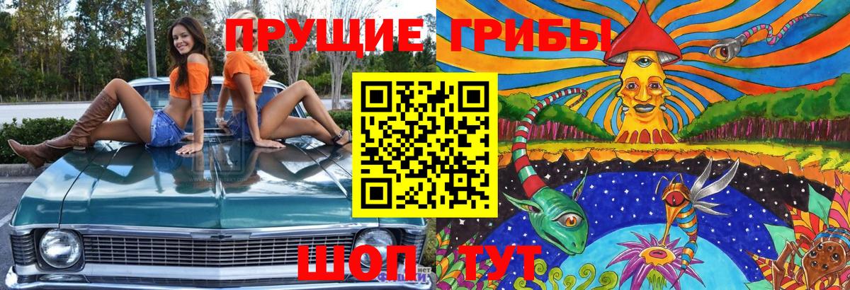 Шатура  Галлюциногенные грибы MAGIC MUSHROOMS  Вход с VPN 